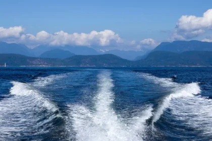 Lifestyle & Inspiration